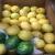 Import Fresh Egyptian LEMON - lime from Egypt