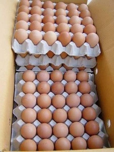 Fresh Farm Chicken Table Eggs/ Farm Fresh Chicken Eggs Brown and White Shell Chicken Eggs