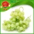 Import Fresh Grapes Seedless Fresh Grapes Seedless GREEN Grapes from China