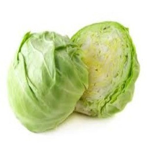 Fresh Green Cabbage available for sale