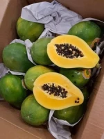 Fresh Papaya