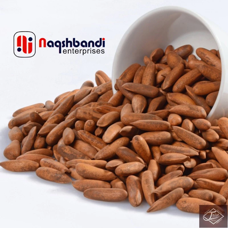 Fresh pine nuts From (Naqshbandi Enterprises) Pakistan
