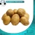 Import Fresh Potatoes for Sale from Egypt