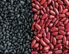 Fresh Quality Kidney Red Beans In Austria