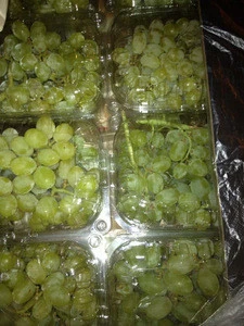 Fresh Superior Grapes
