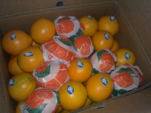 fresh Valencia Orange