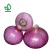 Import Fresh Yellow Onion Seed Price from China