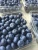 Import frozen blueberry fruit and fresh blueberries from Philippines