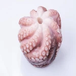 Frozen Whole Cleaned Baby Octopus