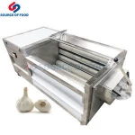 Fruit and Vegetable Washer /Vegetable Washing garlic cleaning machine