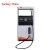 Import fuel dispenser with double nozzle from China
