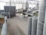 Galvanized/PVC hexagonal wire mesh fence for cattle,horse, sheep,poutry and other animal and poutry(hexagonal wire mesh-011)