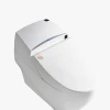 Gizo LZ-0701z Washlet bidet toilet seat with integrated dual flush toilet