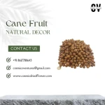 Good Quality Dry Natural  Cane Fruit for Decoration Exotic Dried Flower