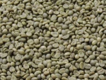 Green Arabica and Robusta Coffee Beans