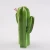 green plant ornamental cactus ceramics with flower