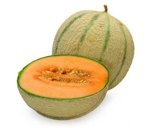 Greyish-green skin orange flesh hybrid round melon seeds