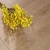 Import hercules elesgo laminate flooring from China