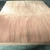 Import High Quality 0.3mm Engineered OAK Wood Veneer Manufacturer from China
