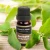 Import High Quality 30ml Eucalyptus Scents of and Pure Essential Oil from China