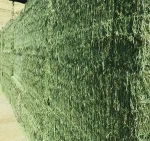 high quality alfalfa hay, alfalfa hay price, alfalfa hay bales