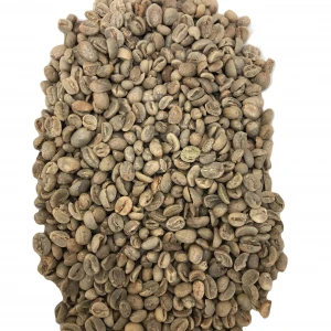 High quality green coffee bean from yunnan