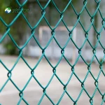 High quality low carbon steel wire material pvc coated Chain Link Mesh for stadium, school playground , places of organs.