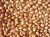Import High Quality New Crop Grow Peanuts for Sale from India