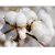 Import high quality raw cotton from USA