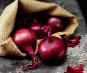 ( HOT) 2019 Red onion/Red Scallions