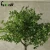 Import Hot Sale factory price Height 2.2m green artificial tree artificial plants for decoration from China