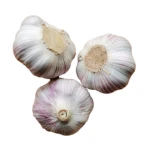 Hot Selling Chinese Fresh Red Garlic Online 5.5cm Size