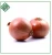Import hot selling Fresh Red Onion / Yellow Onion 4 - 6cm 5 - 7 cm 8 - 10 cm from Shandong China from China