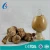 Import Immunity Enhancing Mushroom phellinus igniarius extract sang-hwang mushroom extract from China