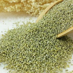 Indian Green Millet for sale now
