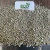 Import Indian Green Millet/Bajra by Verified Supplier from India