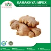 Indian Suppliers Wholesale Ginger Essential Oil At Low Price