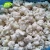 Import IQF Frozen Cauliflower Chinese Factory Market Price Healthy Food from China