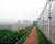 Import Large size and single-span multi span agricultural greenhouses type film greenhouse to be adjusted from China