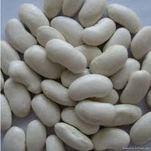 Large White Lima Bean