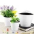 Import Lazy flower pots water hanging plants pot from China