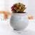 Import Lightweight  Small Bonsai  Sublimation  Balcony  Eco Friendly Flower Pots Planters Indoor Pots Planter from China