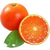 Low Price Guaranteed Quality Packaging Fresh Orange Fruit