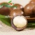 Import Macadamia nuts, roasted macadamia, organic macadamia nuts from China