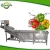 Import High Performance Cabbage Industrial Bubble Washer Machine from China