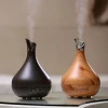 March Expo 4L medical ultrasonic humidifier, essential oil nebulizer aroma diffuser
