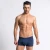 Import Mens  Micro Modal Underwear Briefs Ultra Soft Microfiber Trunks Covered Waistband Shorts Underpants from China