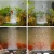 Import Mini 40mm Pond Pump Hydroponics Air Stone Bubble Disk Aerator Aquarium Fish Tank from China