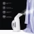 Import Mini Garment Steamer for Clothes Plush Toys Steam Iron Portable Steamer Hotel mini  portable from China withETL/CE/RoHS from China