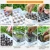 Import Mini greenhouse kits propagation growing seed tray plastic grow seeds microgreen hydroponic trays from China